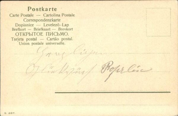 Adel Noce de Bojares Hochzeit – Bild 2