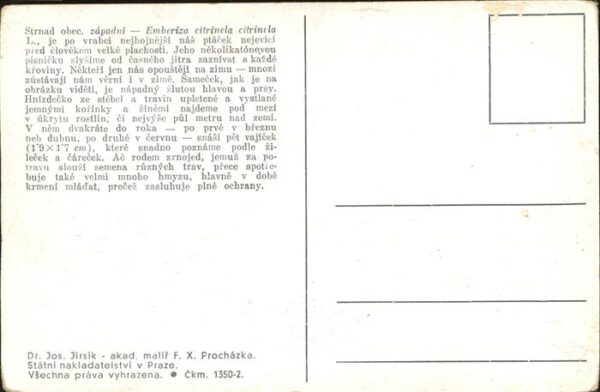 Kuenstlerkarte F. X. Prochazka Vögel – Bild 2