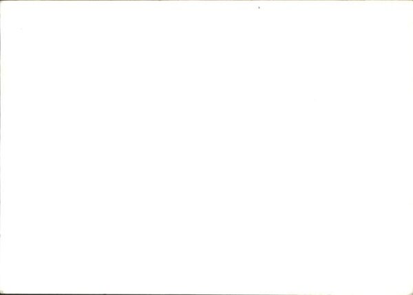 Bundesgartenschau Sonderpostkarte 1965 Essen – Bild 2