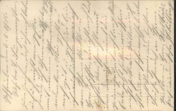 Pferde – Bild 2