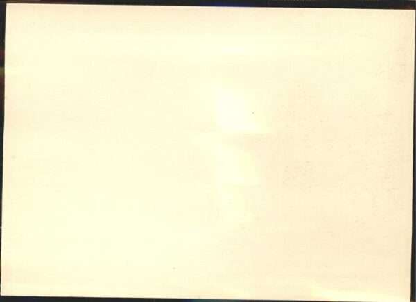 Werbung Reklame Superphosphat Bauernhof – Bild 2
