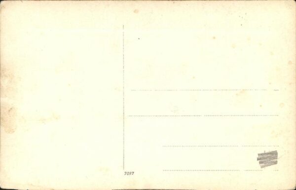 Landwirtschaft Estabelecimento Büffel – Bild 2