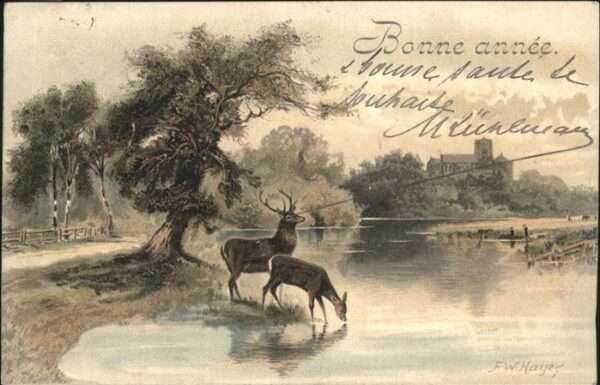 Hirsch Neujahr F.W. Hayes
