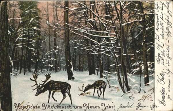 Hirsch Neujahr