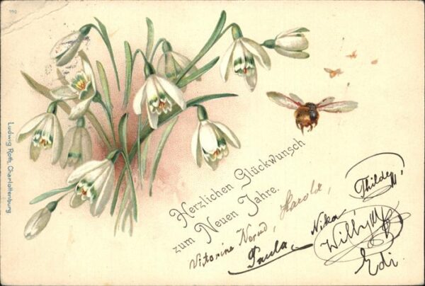 Neujahr Blumen Biene