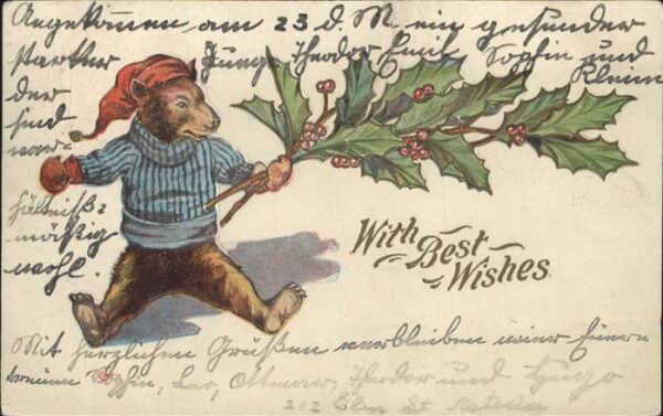 Baeren Glückwunsch Weihnachtszweig