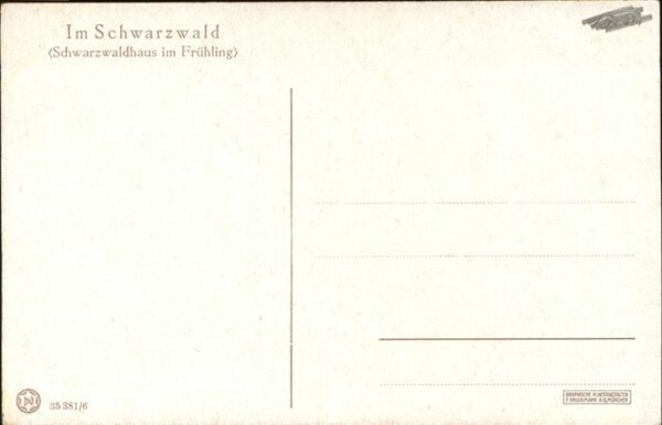 Simon A. Schwarzwaldhaus im Frühling – Bild 2