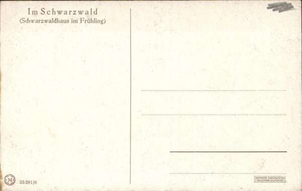 Simon A. Schwarzwaldhaus im Frühling – Bild 2