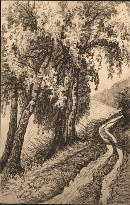 Stuecklin H. Birken Schwarzwald