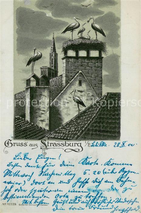Strassburg Elsass Dächer mit Störchen