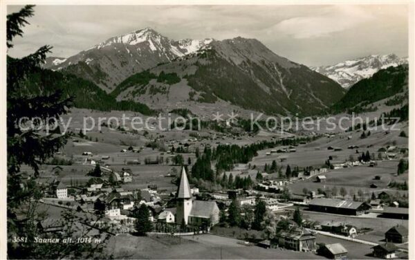Saanen Panorama