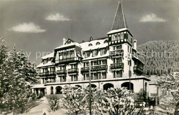 Gstaad Hotel Alpina