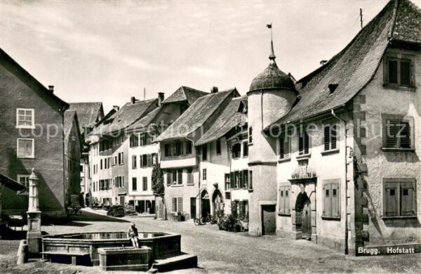 Brugg AG Hofstatt Brunnen
