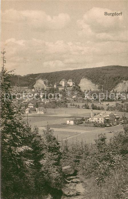 Burgdorf Bern Panorama