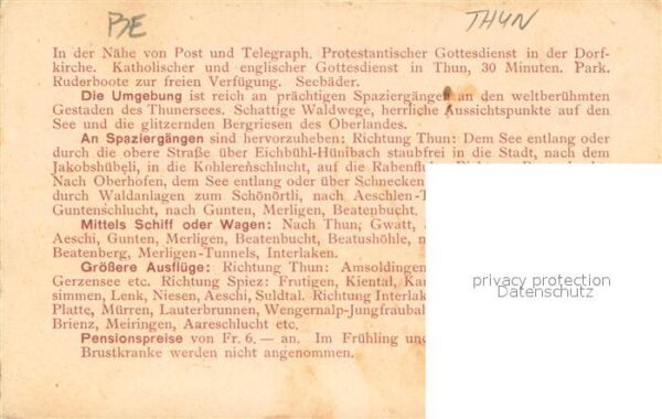 Thun BE Kirche Park Ruderboote – Bild 2