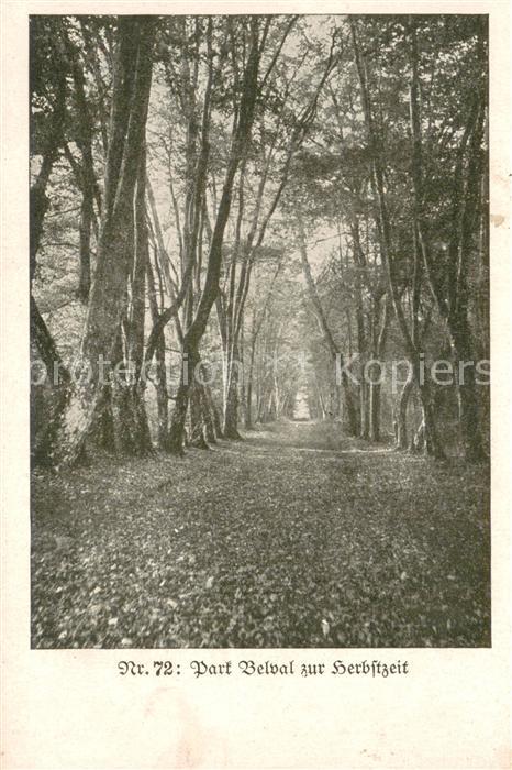 Belval 08 Ardennes Park Belval Feldpostkarte
