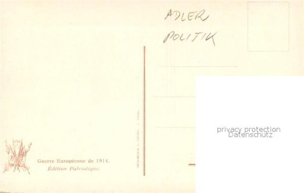 Adler Eagle Aigle Aguila Politik E Quentin Brin – Bild 2