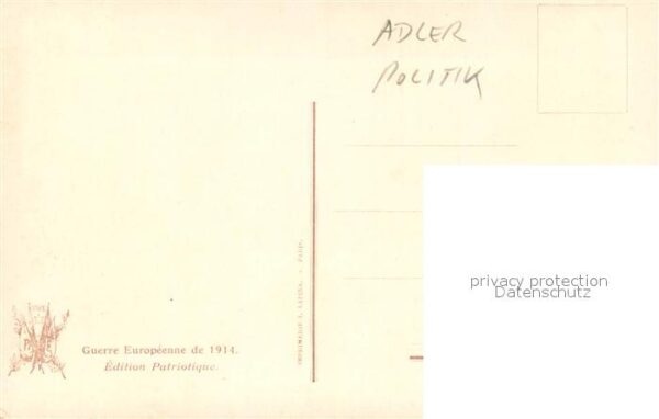 Adler Eagle Aigle Aguila E.Quentin Brin Angriff – Bild 2