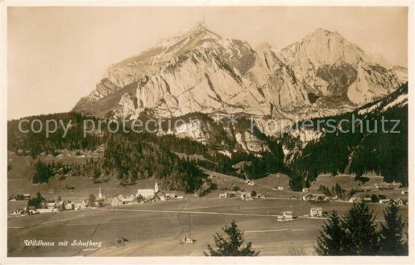 Wildhaus  SG Panorama mit Schafberg