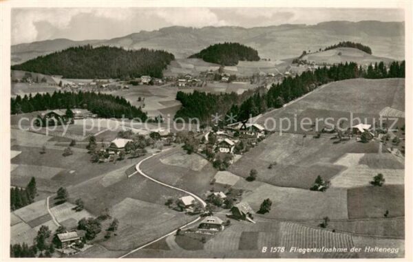 Haltenegg Thun Fliegeraufnahme
