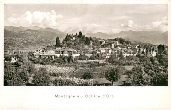 Montagnola TI Collina d_Oro