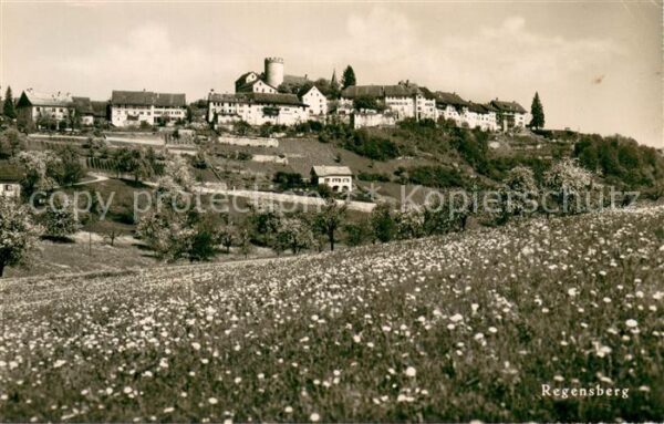 Regensberg Dielsdorf ZH Panorama