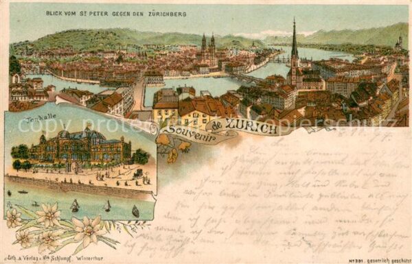 Zuerich ZH Blick vom St Peter zum Zürichberg Tonha
