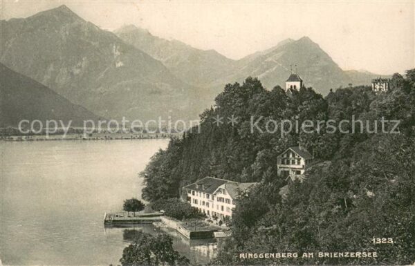 Ringgenberg Brienzersee Panorama