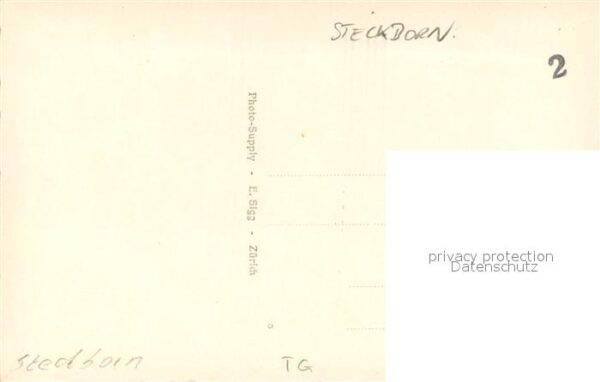 Steckborn TG Ortsmotiv – Bild 2