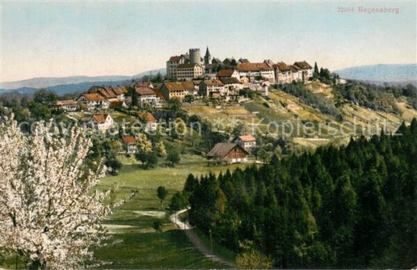 Regensberg Dielsdorf ZH Hotel Krone Panorama mit Schloss