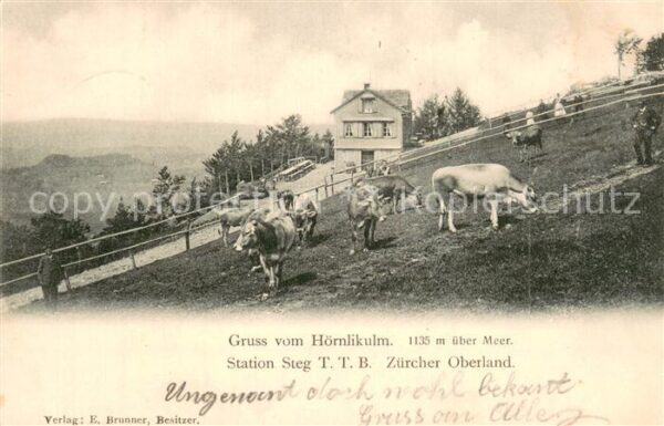 Hoernlikulm Hoernli-Kulm 1136m ZH Station Steg Zürcher Oberland