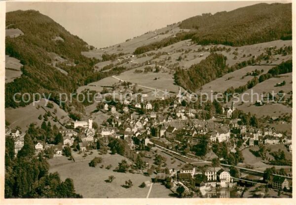 Lichtensteig mit Neu Toggenburg Panorama