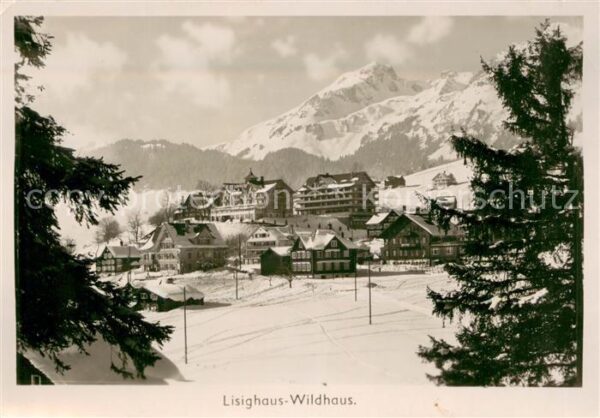 Lisighaus Wildhaus SG Panorama