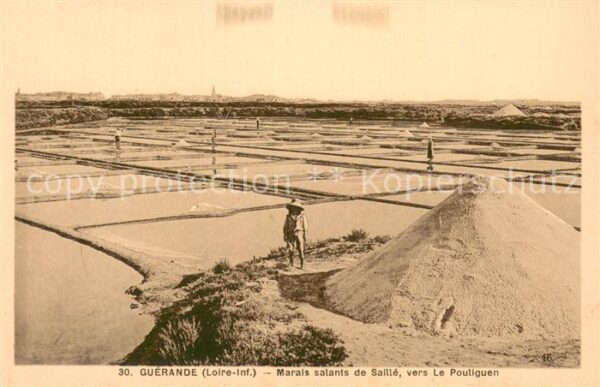 Guerande 44 Marais salants de Saille vers Le Poulig