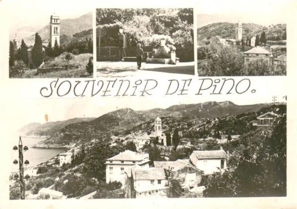 Pino Corse Teilansichten