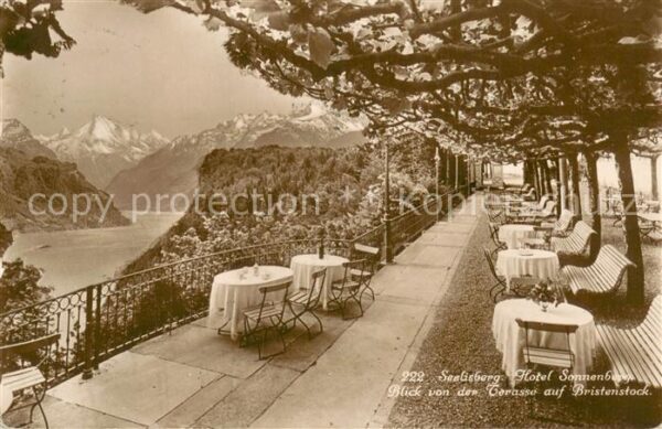 Seelisberg UR Hotel Sonnenberg Terrasse Bristenstockb
