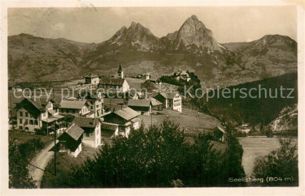 Seelisberg UR Panorama
