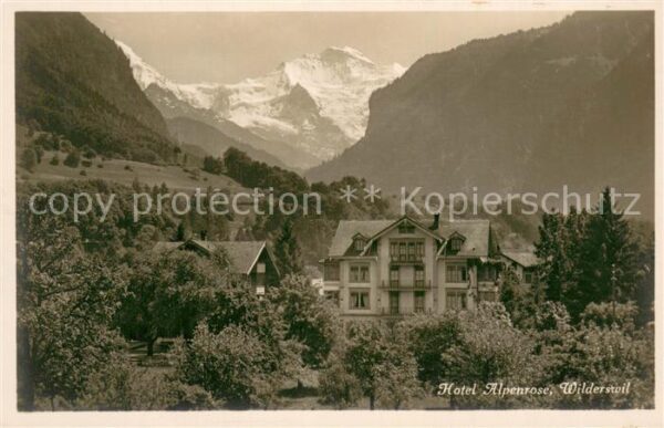 Wilderswil Hotel Alpenrose