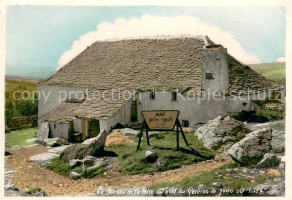 Gerbier de Jonc Mont Ferme de la Loire
