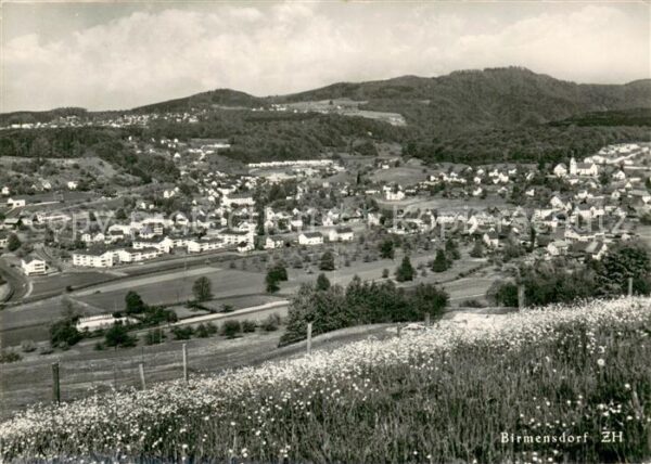 Birmensdorf Panorama