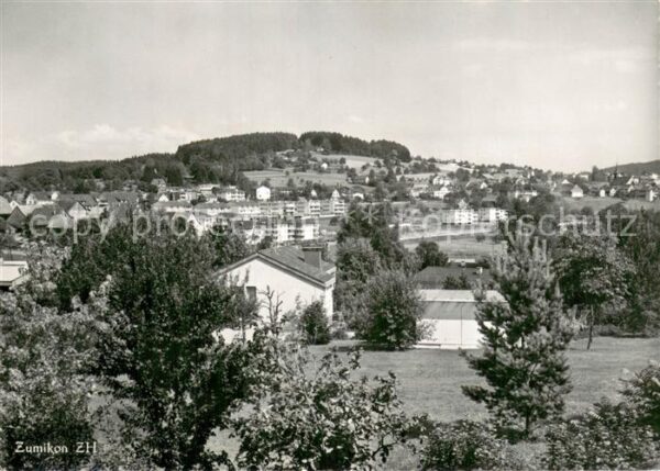 Zumikon ZH Stadtpanorama