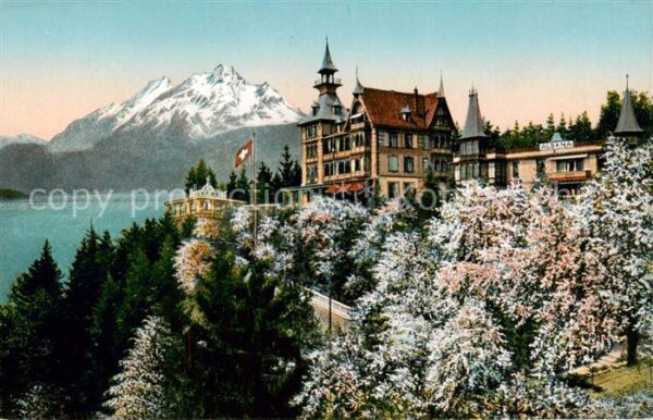 Weggis Vierwaldstaettersee Hotel Albana Aussenansicht