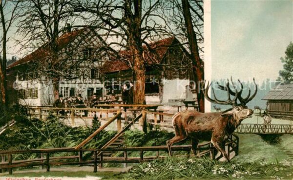 Winterthur  ZH Bruderhaus Aussenansicht m. Hirsch