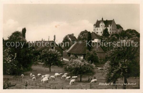 Stettfurt TG Schlossgut Sonnenberg u. Schafherde