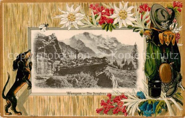 Wengen  BE Berghütte Blick gegen Jungfrau Berner A