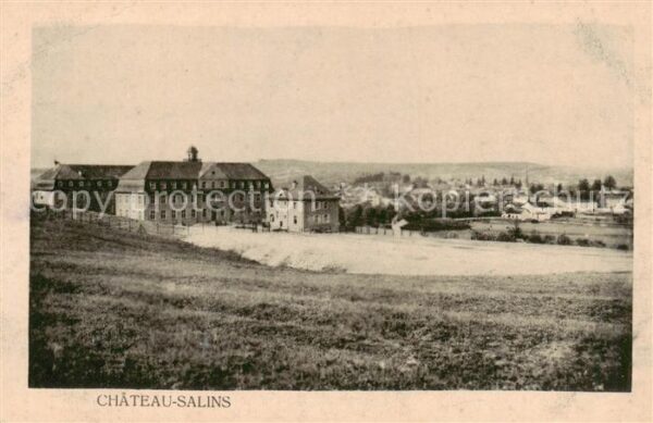 Chateau-Salins 57 Moselle Panorama