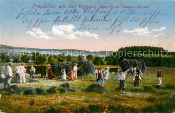 Colroy-la-Grande 88 Vosges Heuernte Serie Kriegsbilder aus den Vog