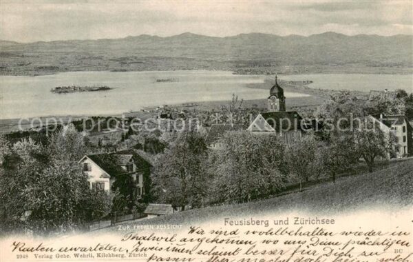 Feusisberg SZ Panorama Zürichsee Gasthaus Zur Fernen