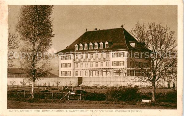 Koppigen BE Kant Schule für Obst und Gemüse