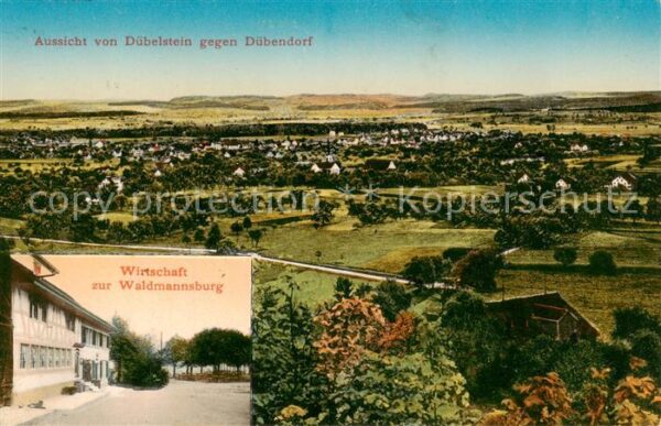 Duebendorf ZH Blick vom Dübelstein Waldwirtschaft zur